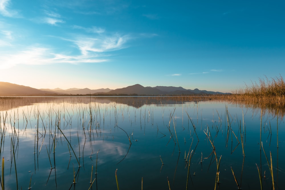 Gewässer in Bergnähe unter blauem Himmel tagsüber