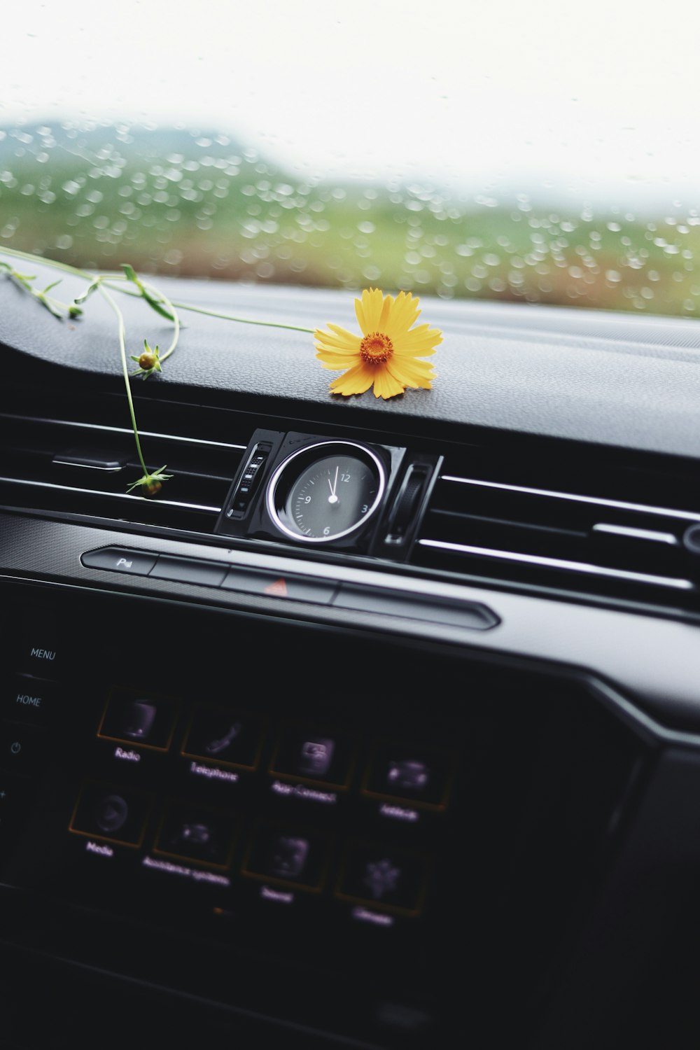 yellow flower on car air vent