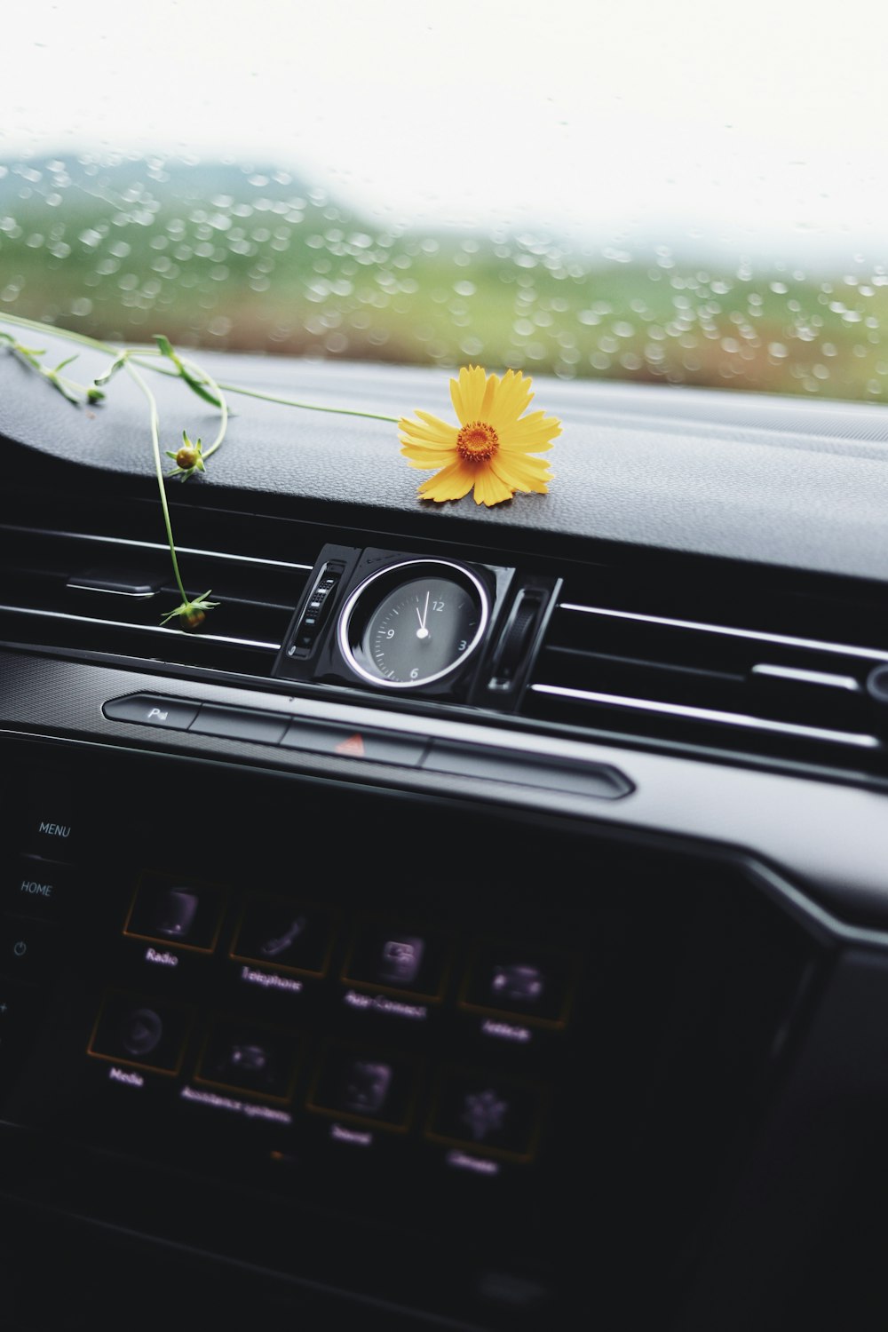 Gelbe Blume auf dem Lüftungsschlitz des Autos