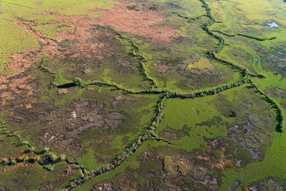 green and brown grass field