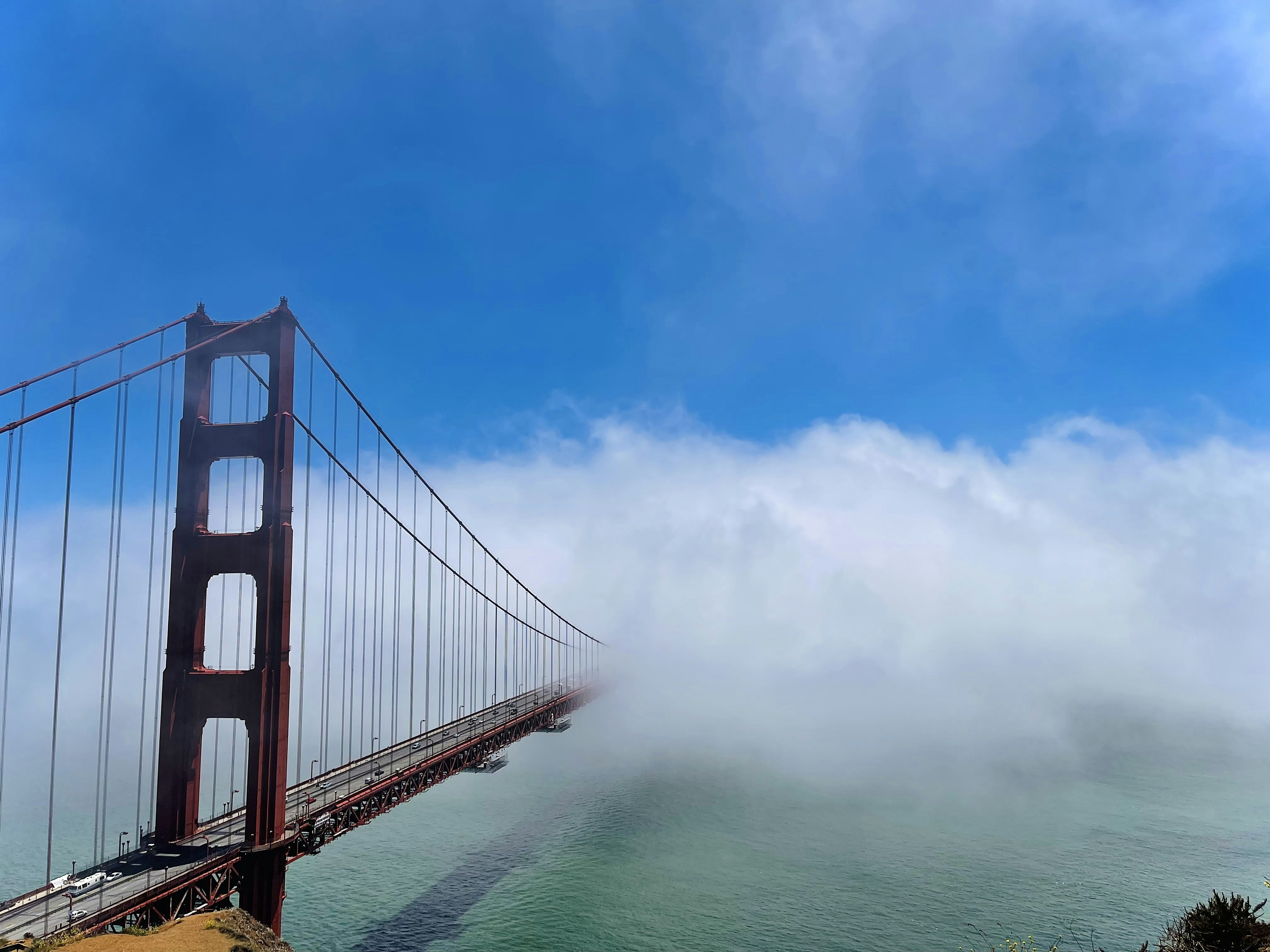 Photo by linabarzeva