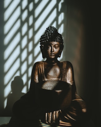 woman in black dress sitting on chair