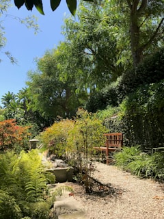 A spacious garden with a mix of native plants, a wooden bench, and a winding gravel path.