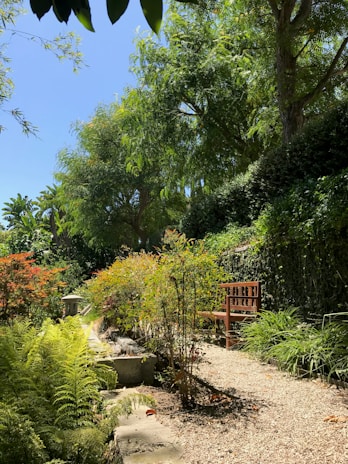 A spacious garden with a mix of native plants, a wooden bench, and a winding gravel path.