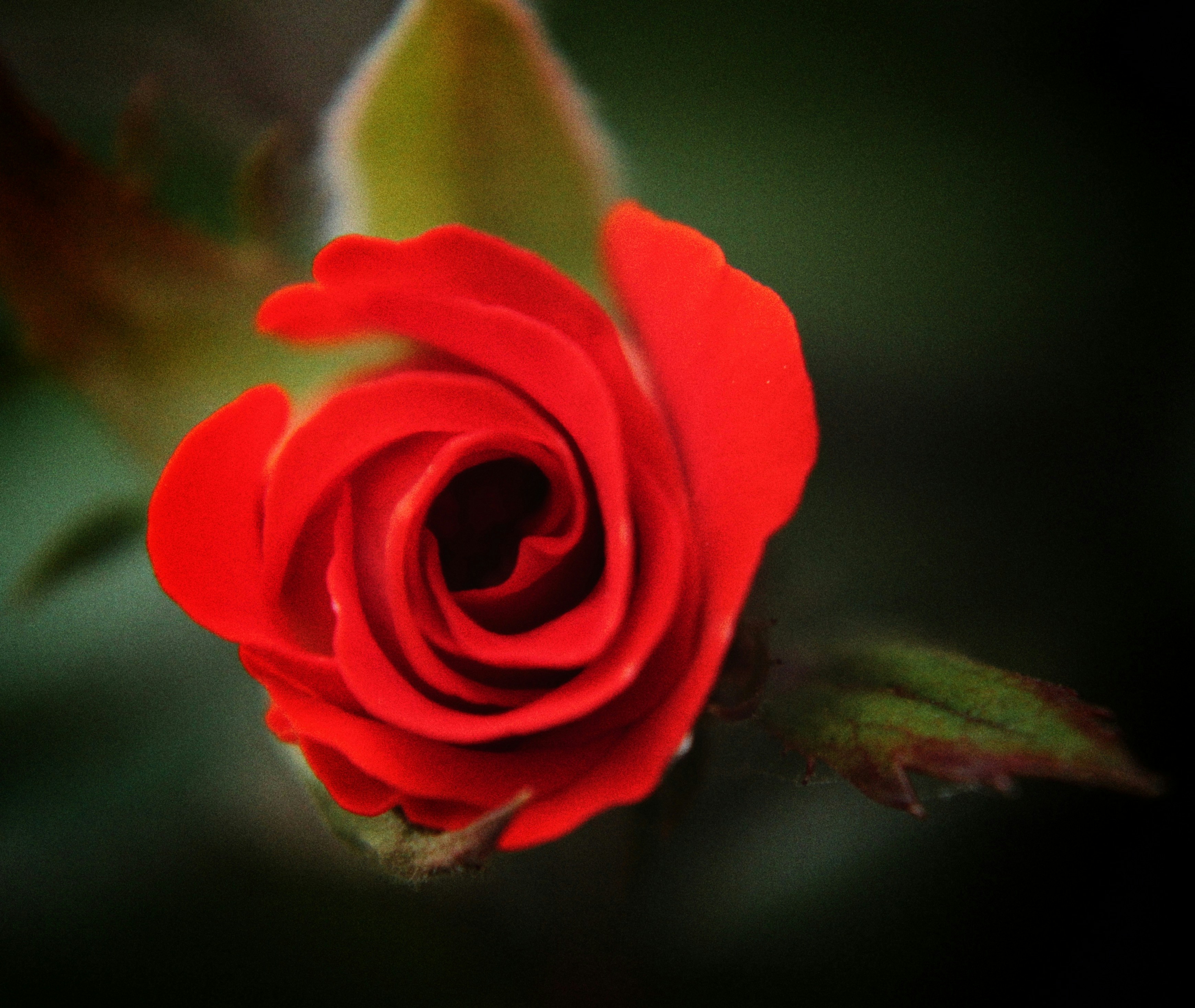 Photo by indianhobbyphotographer