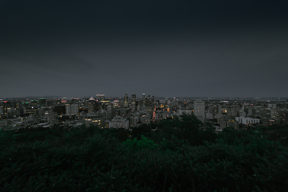 city with high rise buildings during night time