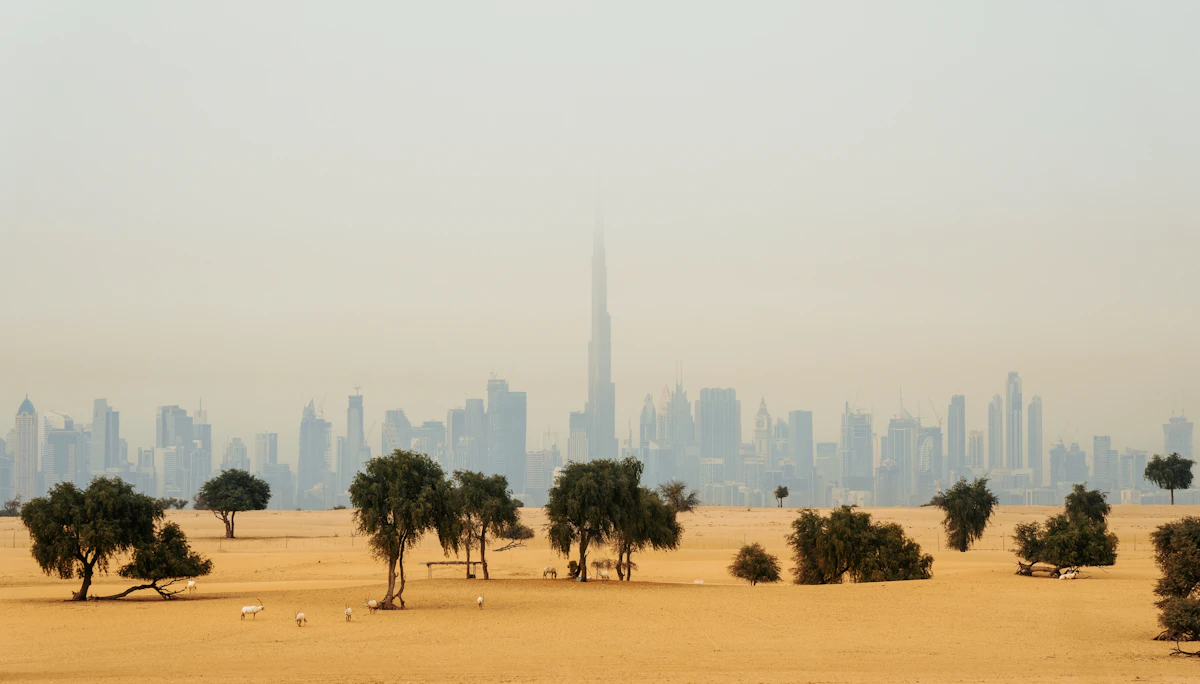 A Gulf city skyline seen across open desert at dusk