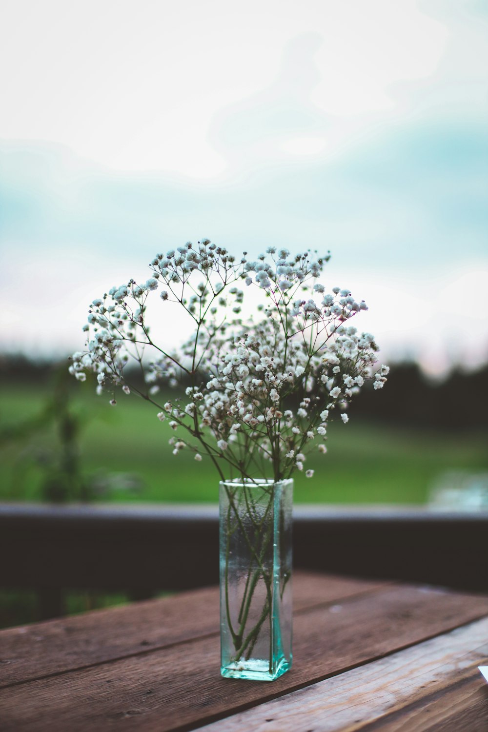 透明なガラスの花瓶に白い花