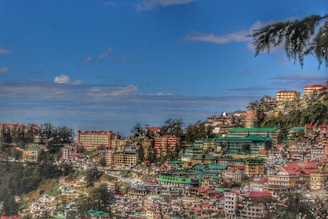 city with high rise buildings under blue sky during daytime