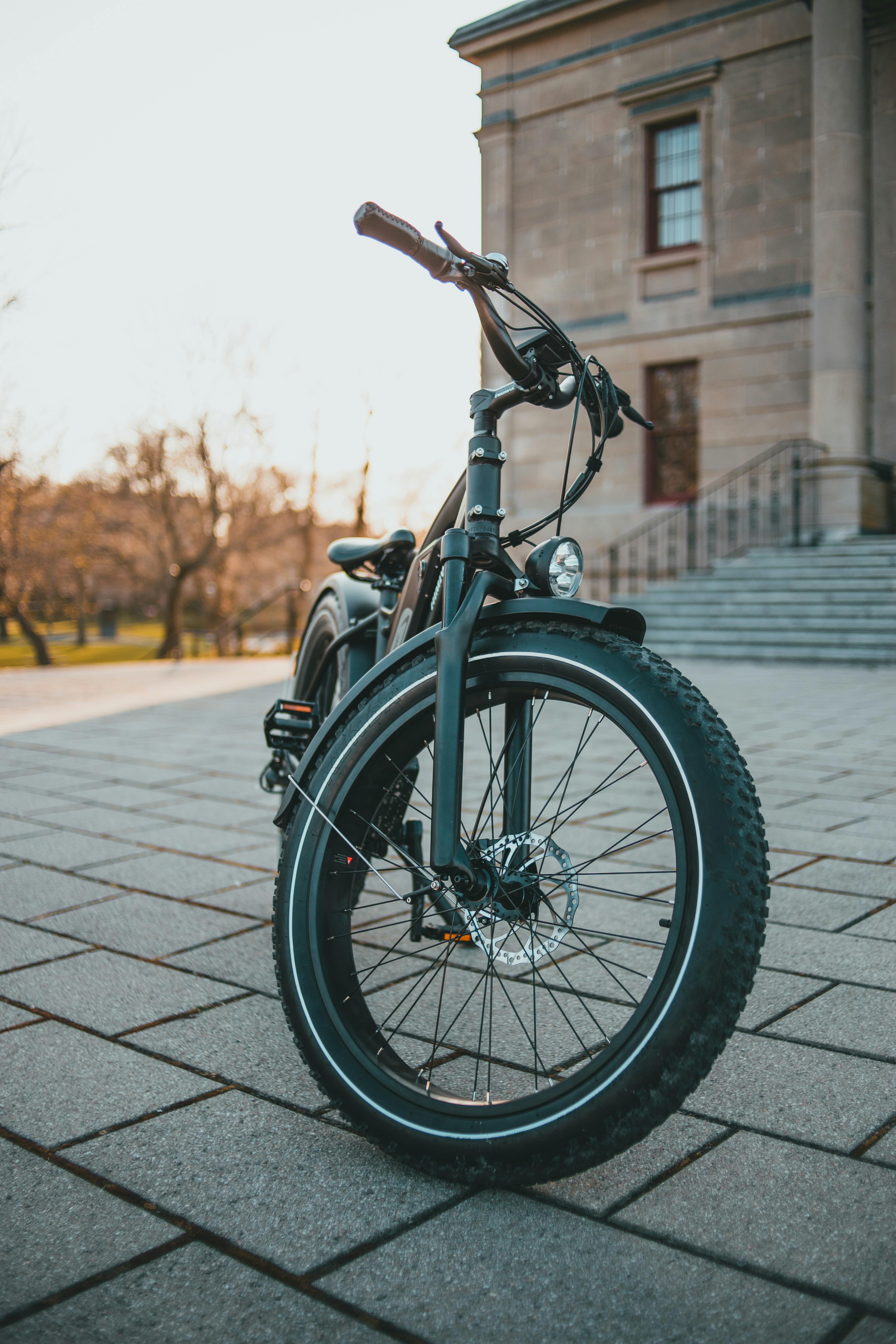 professional Ebike- Himiway