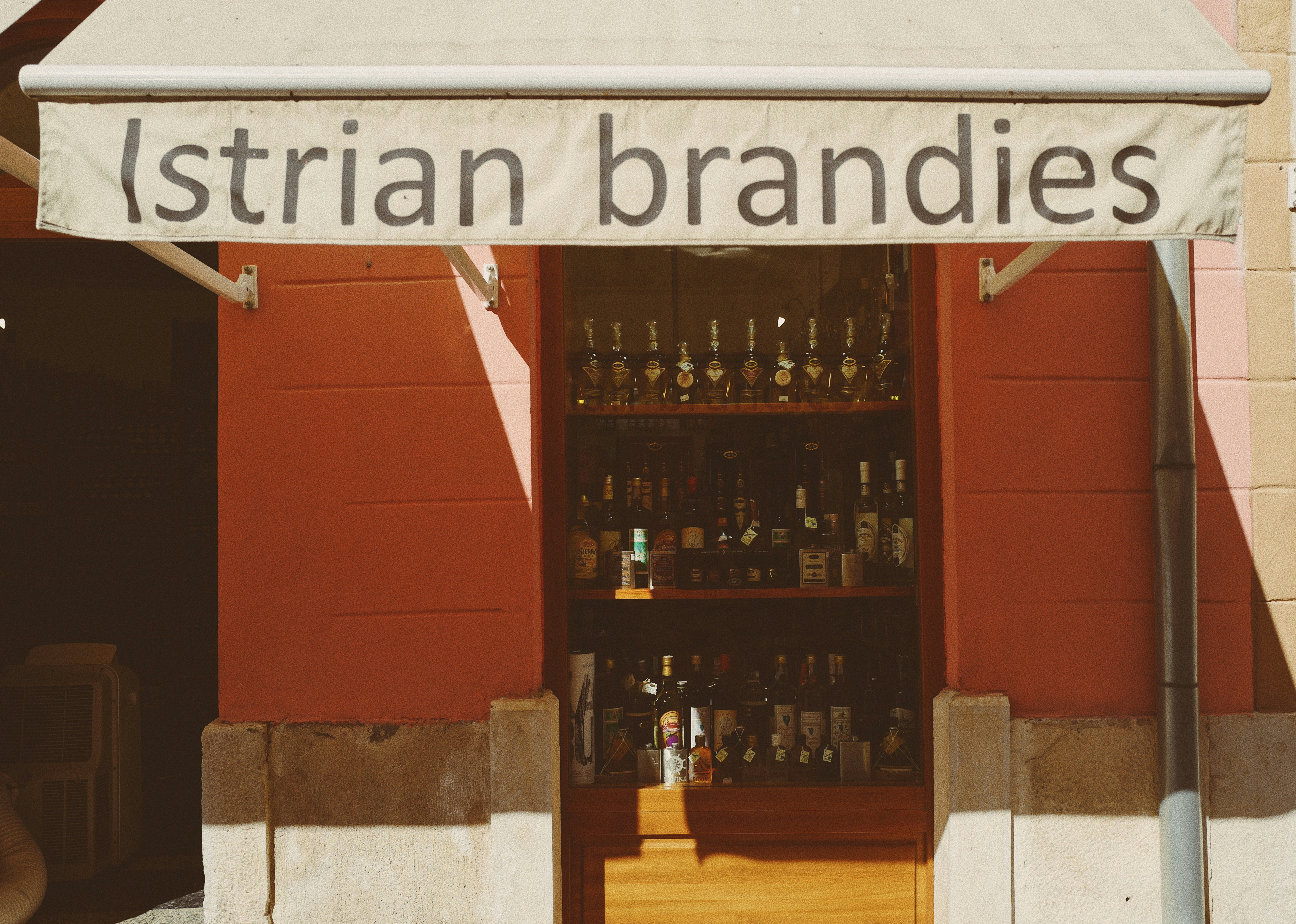 Brandi Passante in a business setting