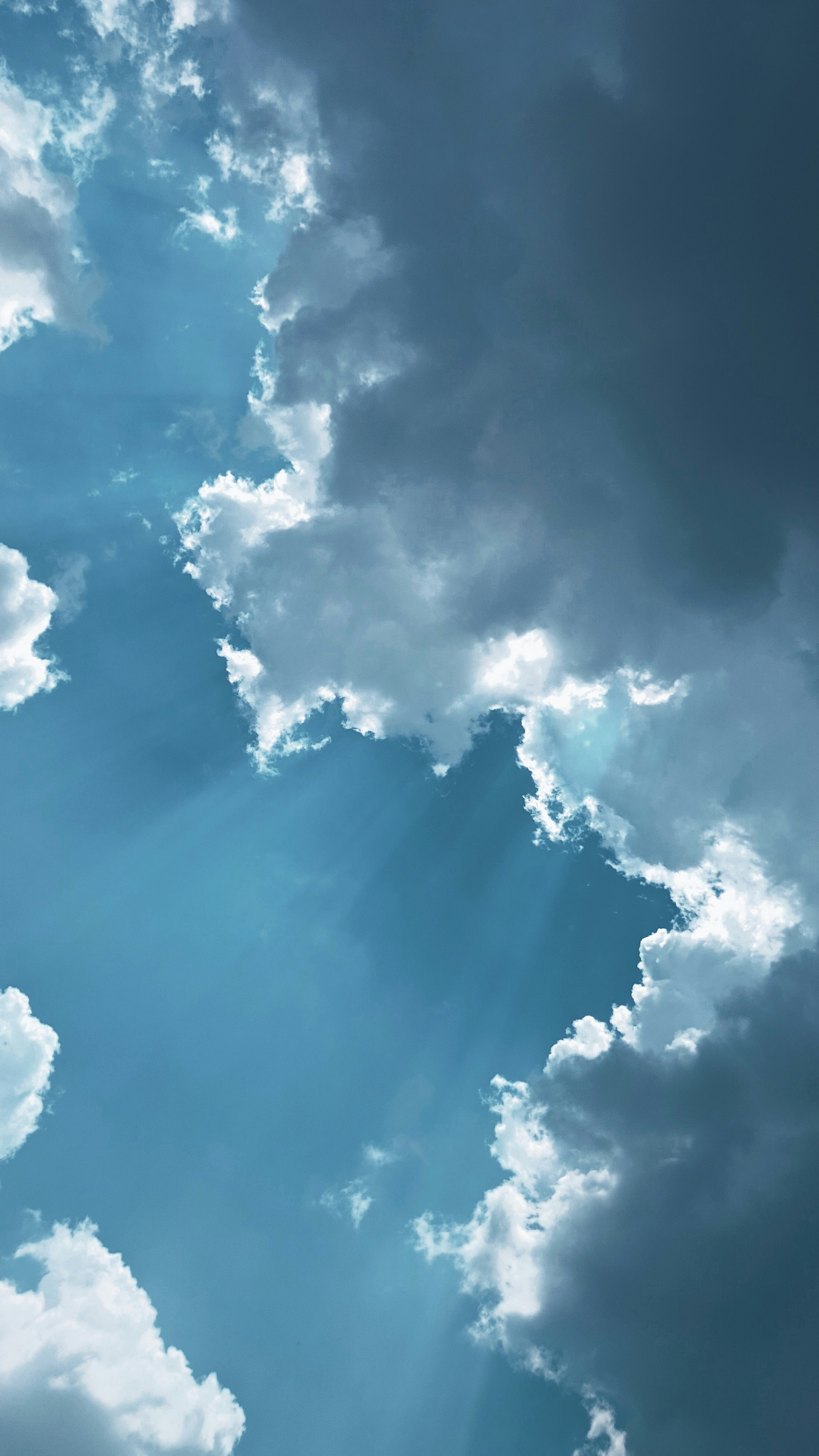 Photo by vishnuvarthan