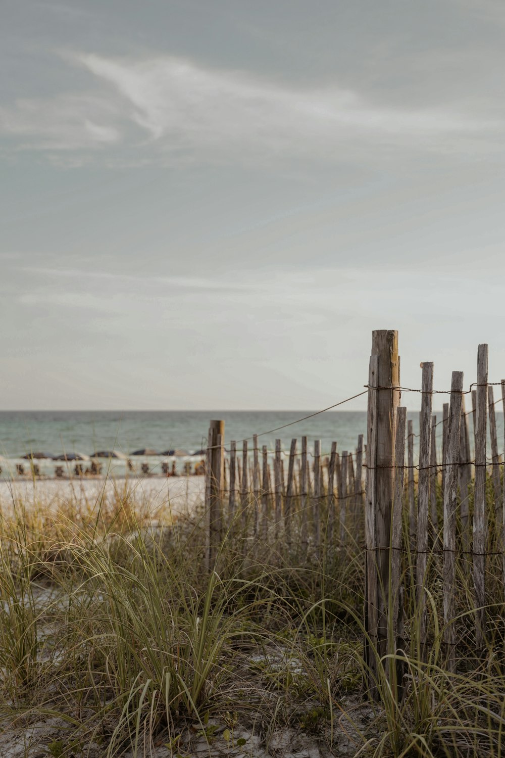 brown wooden fence on seashore during daytime