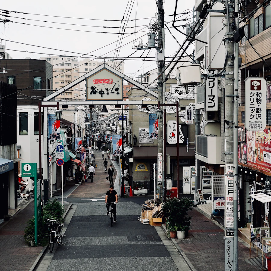 Yanaka neighborhood in Tokyo