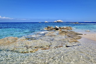 brown rocks on sea shore under blue sky during daytime
