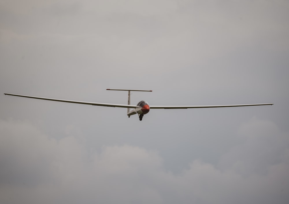 white and orange bird on black wire under gray cloudy sky