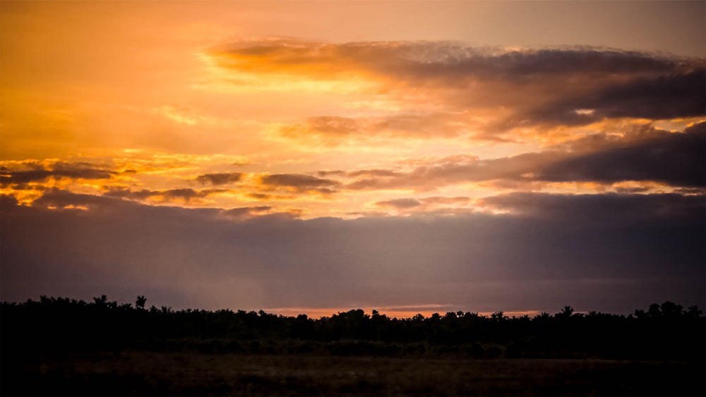 silhouette of trees under cloudy sky during sunset