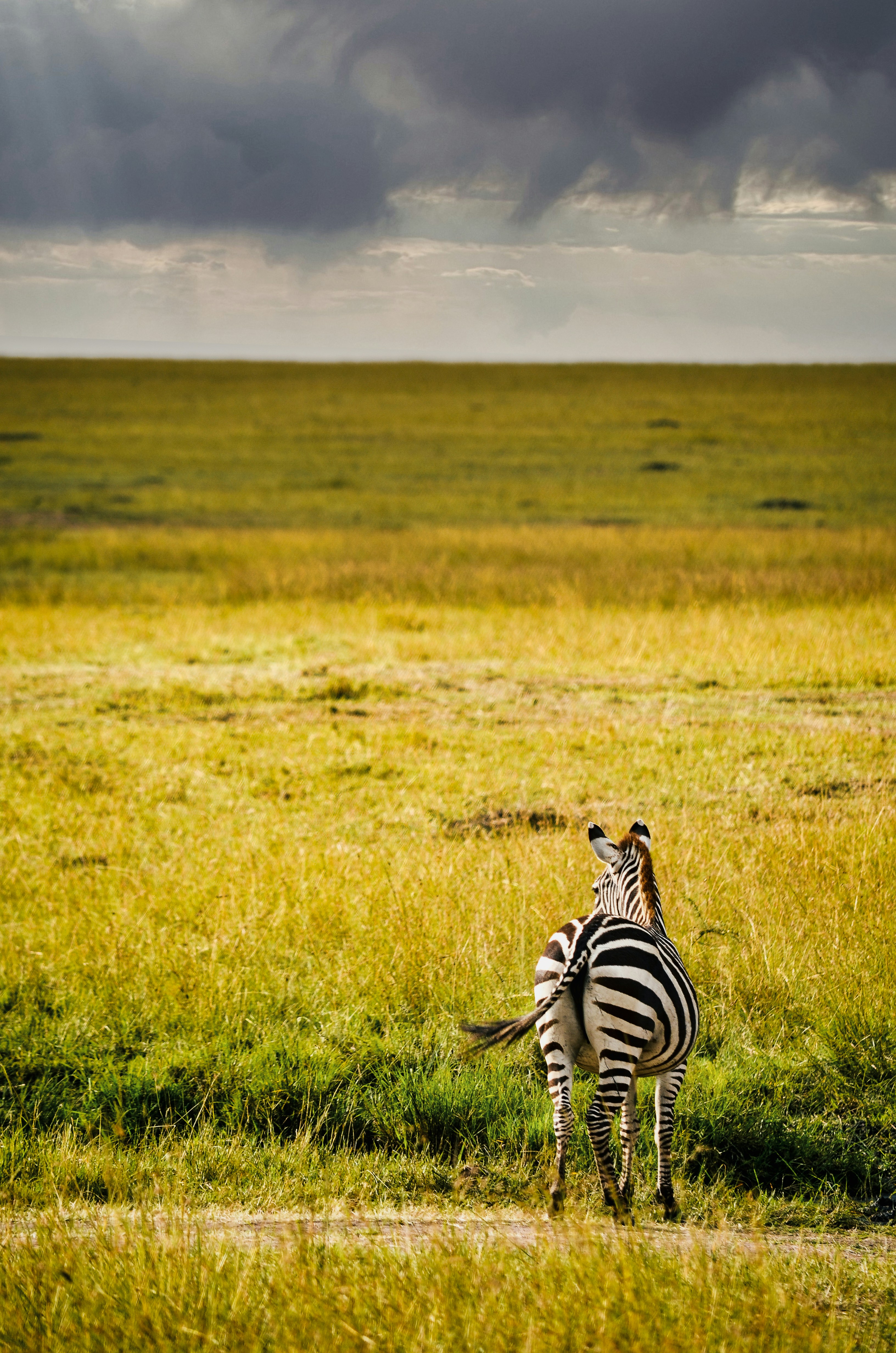 Day 4: Lake Nakuru to Masai Mara Game Reserve