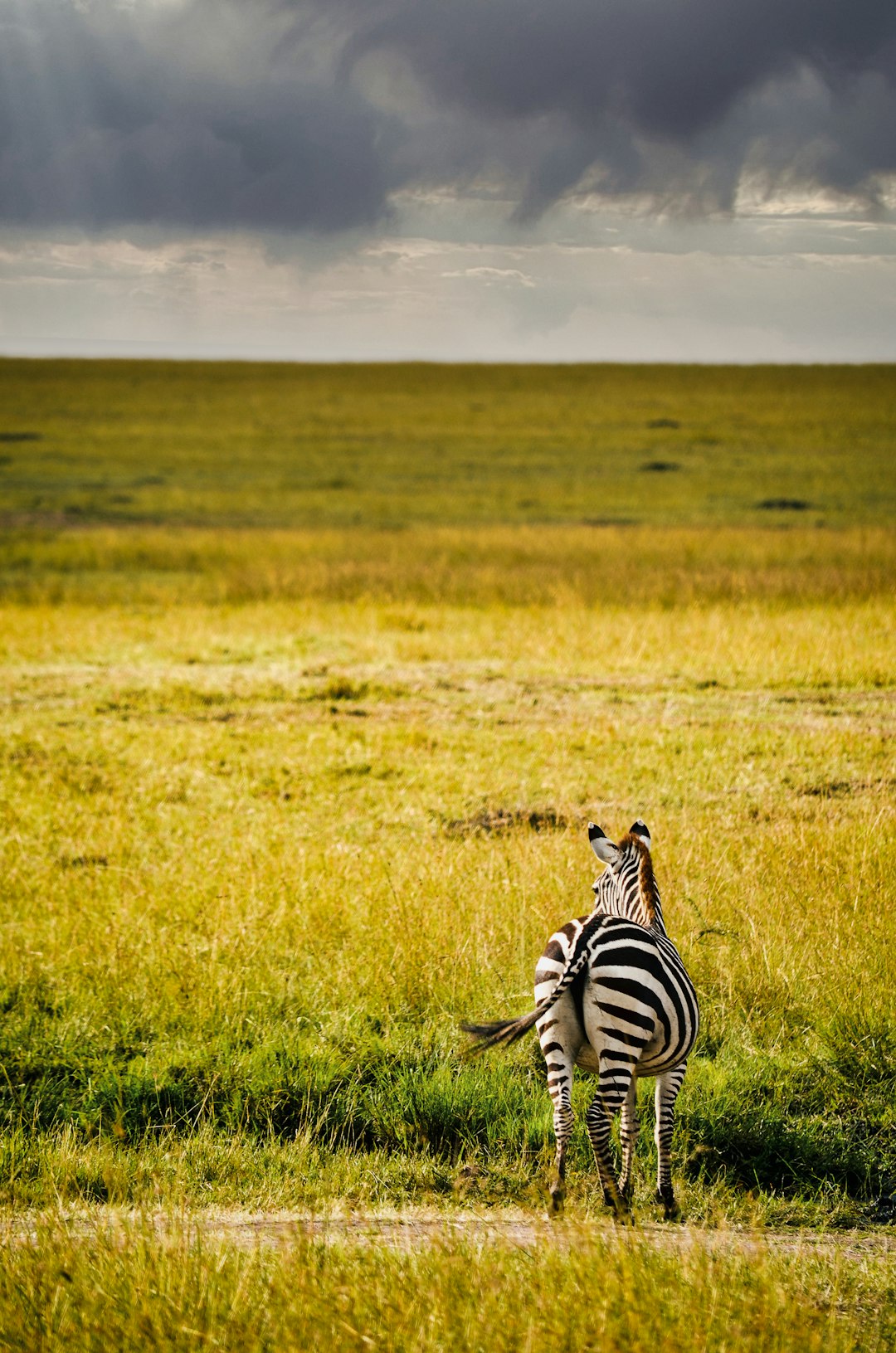 Lake Nakuru Safari