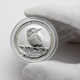 silver and gold round coin