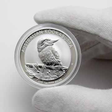 silver and gold round coin