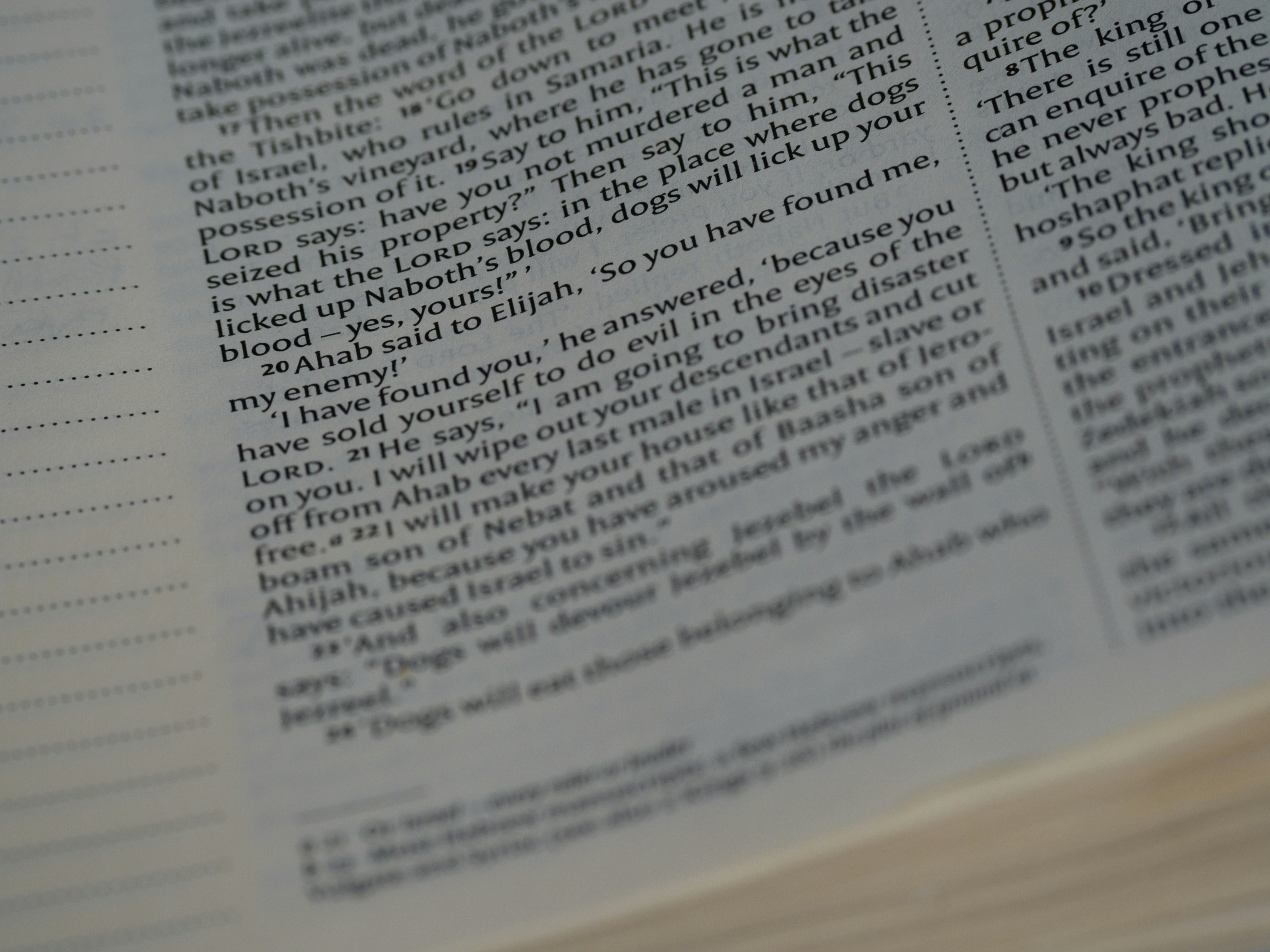 Photo by brett_jordan