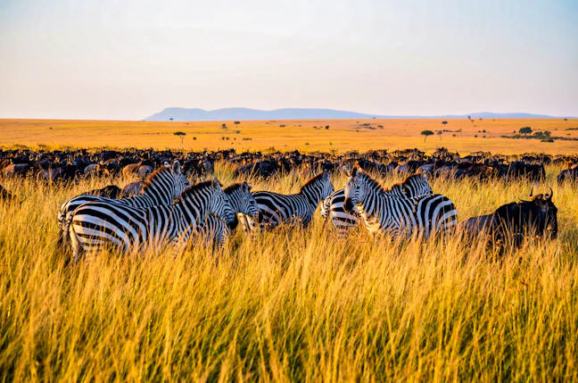 13-Day Kenya Budget Backpacking Itinerary