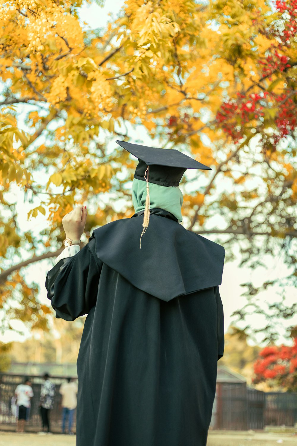 person in black academic dress holding brown leaves during daytime