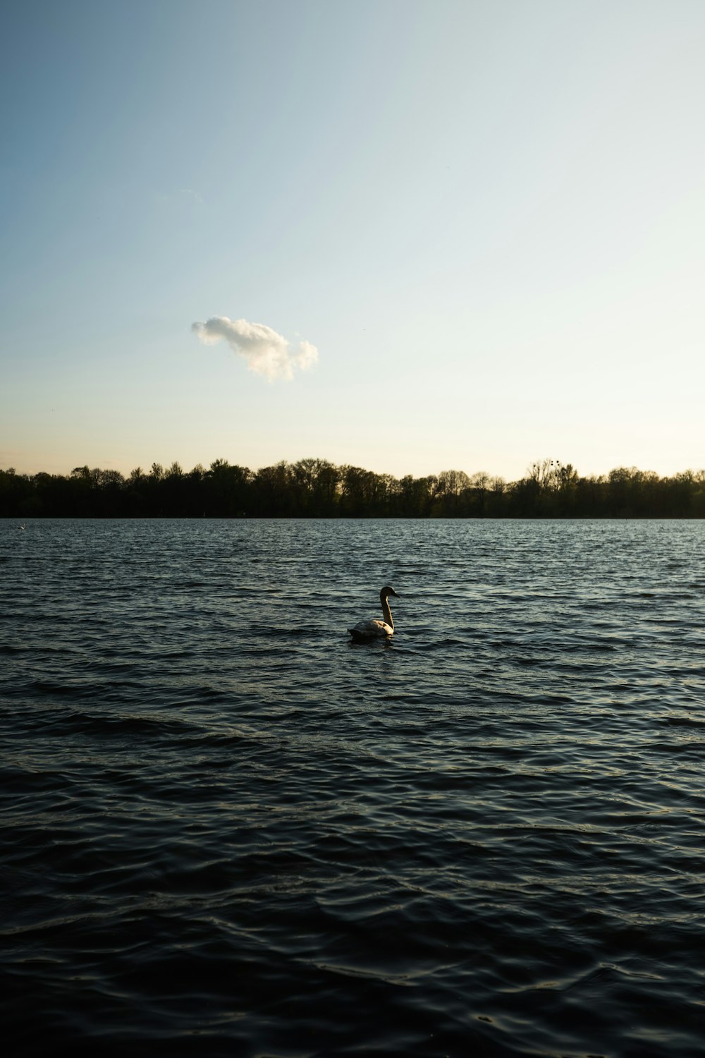 person in black wet suit on body of water during daytime