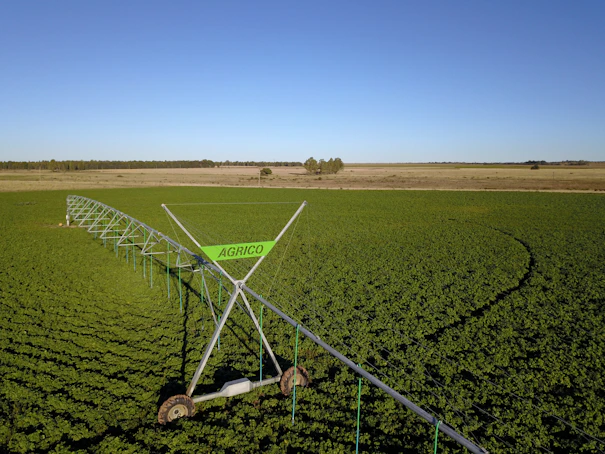 green grass field under blue sky during daytime