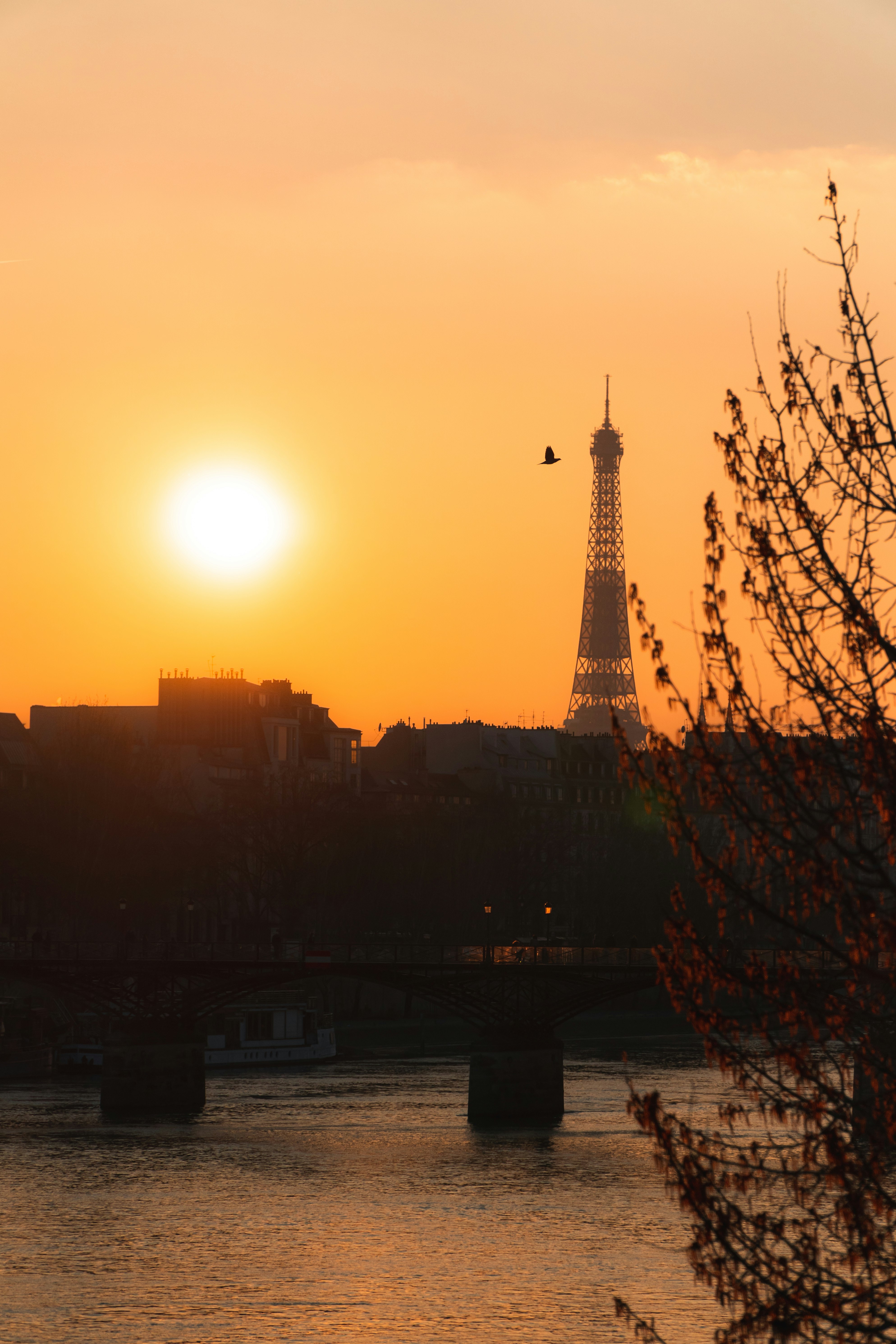 eiffel tower during golden hour