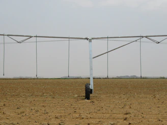 Agricultural irrigation hoses laid out in a sunny field.