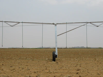 Agricultural irrigation hoses laid out in a sunny field.