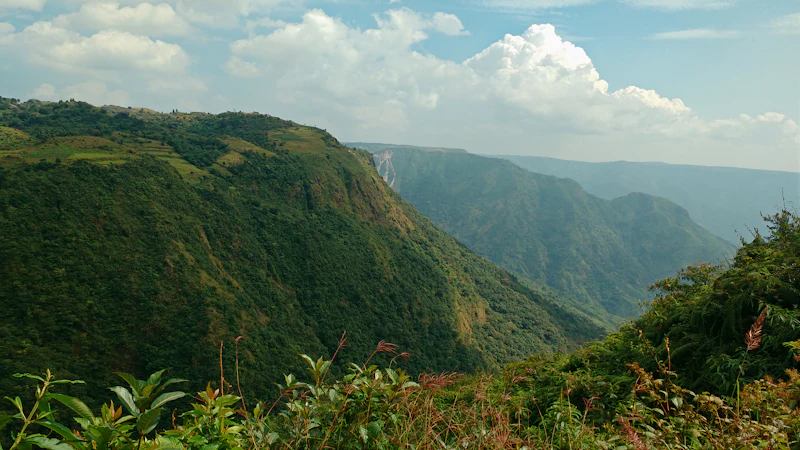 Most Historic Pubs in Shillong With Real Character and Good Stories