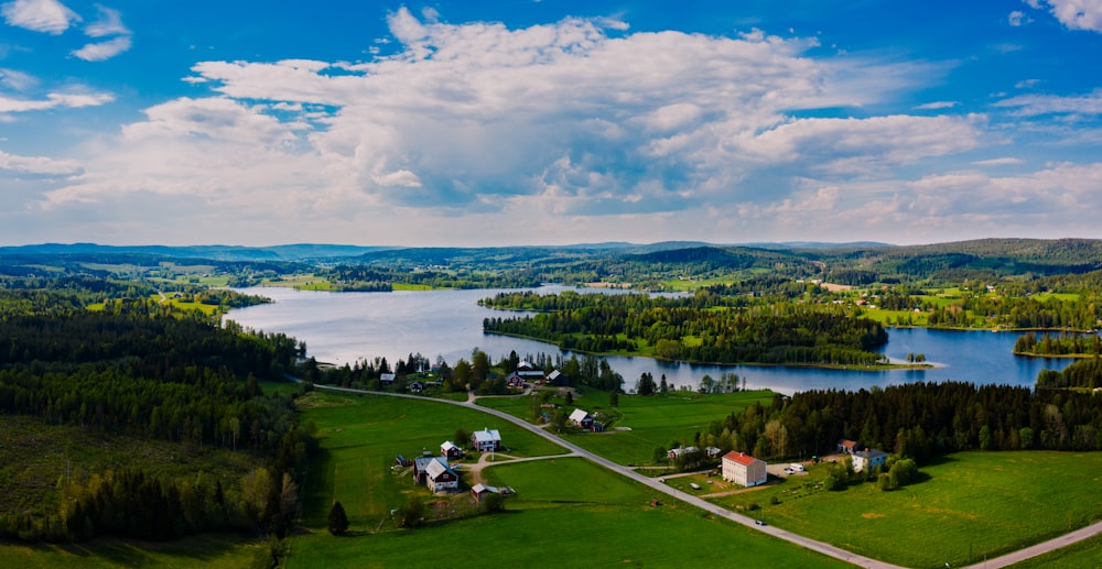 green trees near body of water under blue sky during daytime