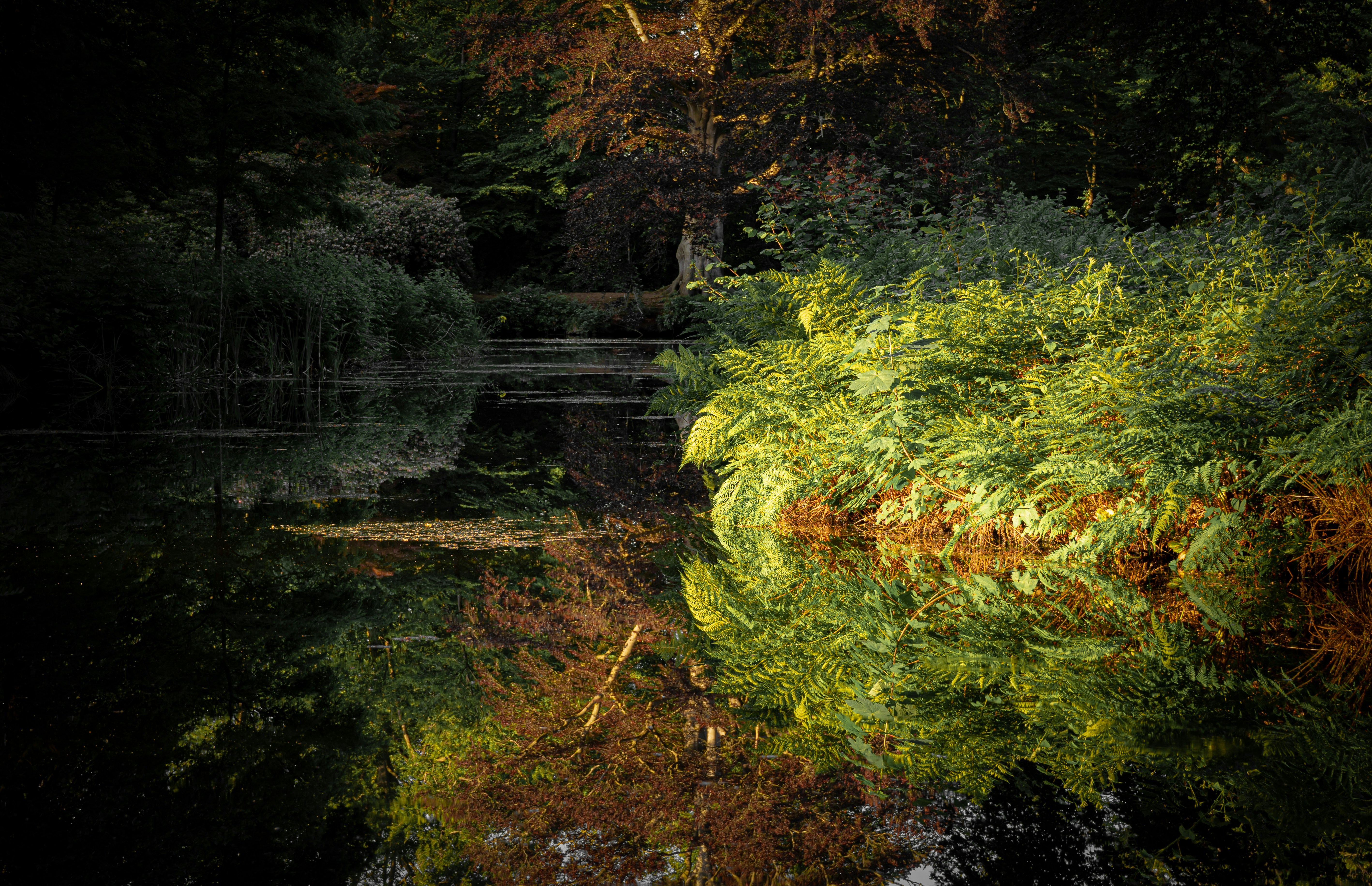 Photo by mamanofficial