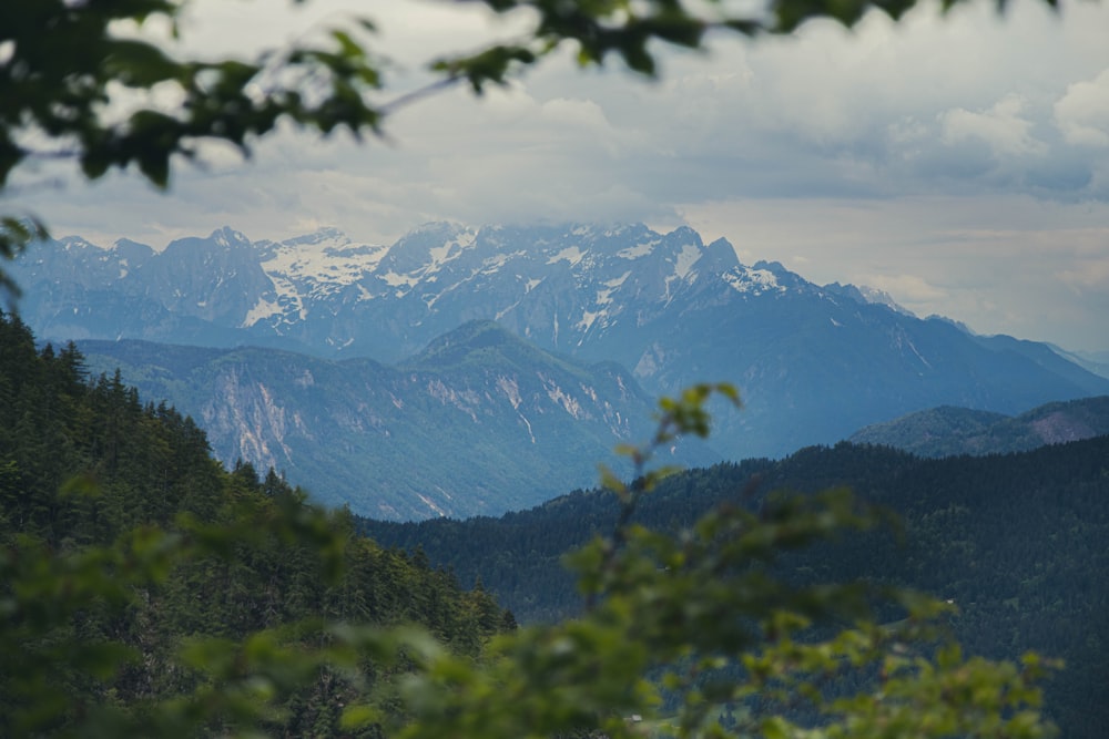 green trees and mountains under white clouds during daytime