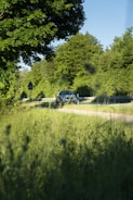 A comfortable car winding through lush green Indian countryside under a clear blue sky.