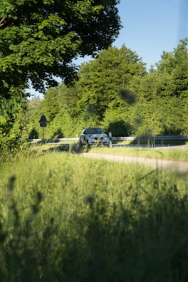 A car driving smoothly along a scenic road with green trees on both sides.