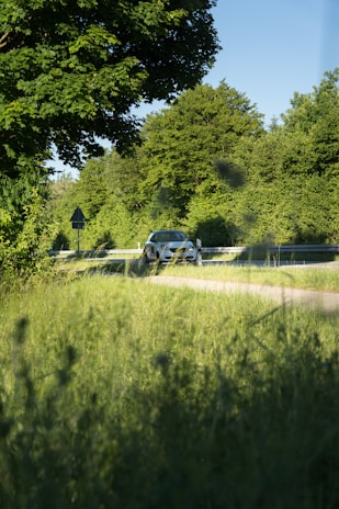 Hybrid car driving on a scenic road surrounded by greenery.