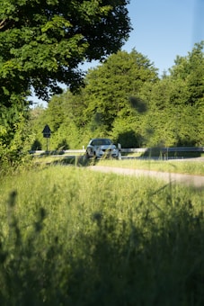A car is driving along a road surrounded by lush greenery and tall trees. The sky is clear blue, and the area has a serene and peaceful atmosphere.