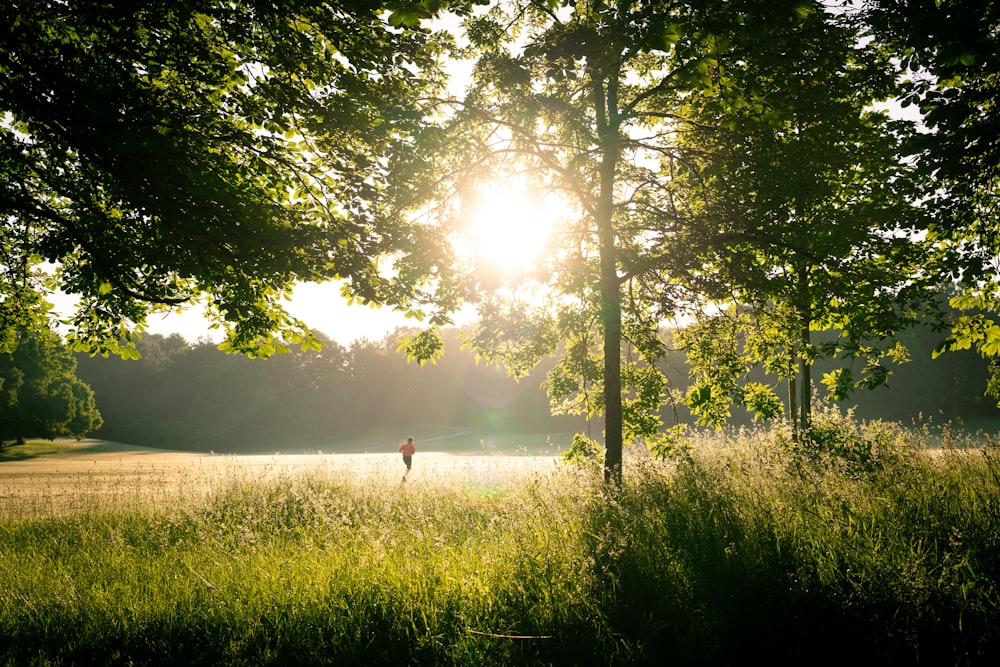 person in white shirt standing on green grass field surrounded by green trees during daytime