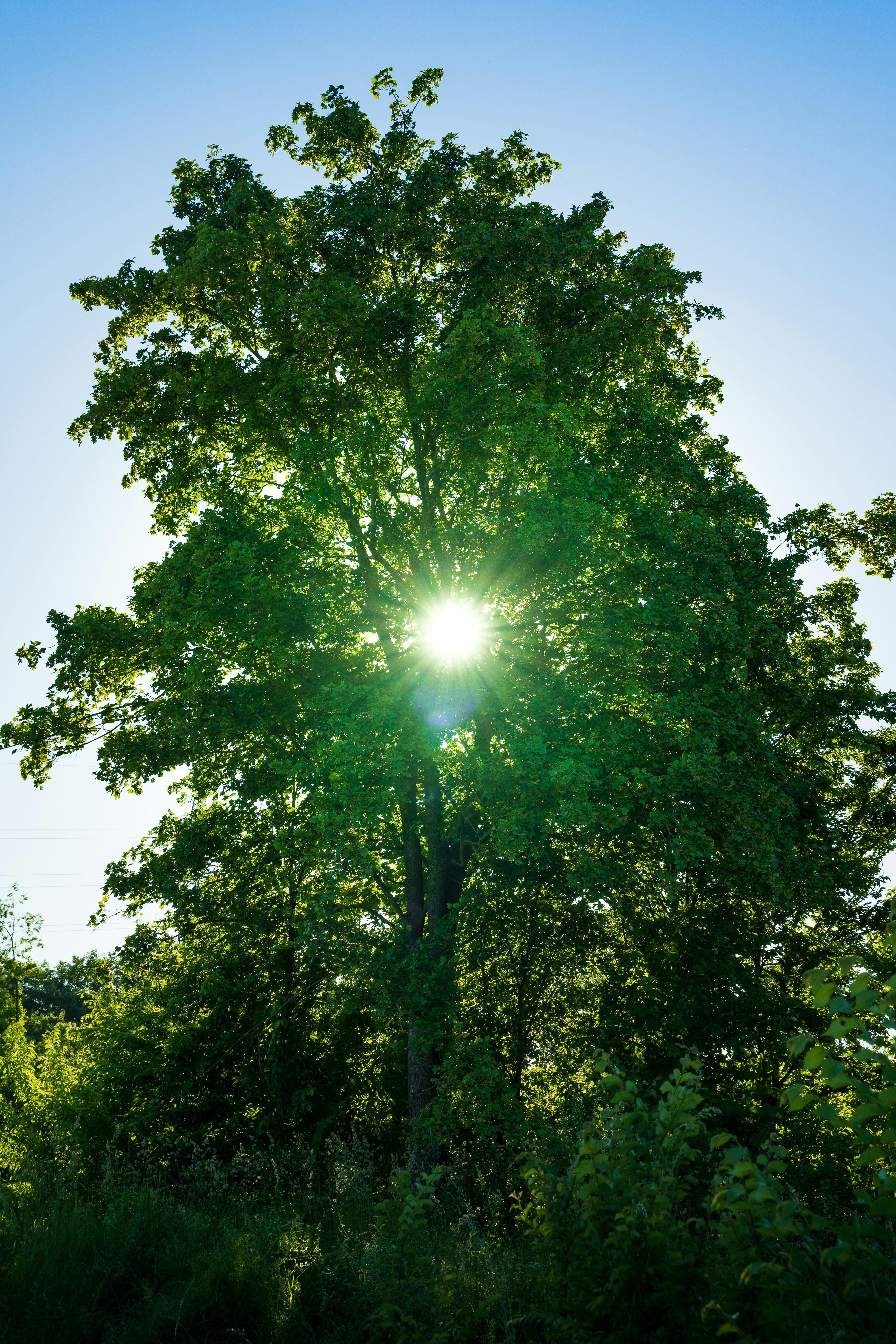 Photo by ps_composition