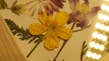 A collection of pressed flowers displayed under glass. The composition includes a prominent yellow flower in the center and other purple and white flowers. These flowers are arranged with green foliage on a light background. The image is warmly lit, possibly by small round lights on the right side, creating an inviting atmosphere.