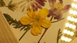 Close-up of a delicate pressed flower art piece framed in light wood.