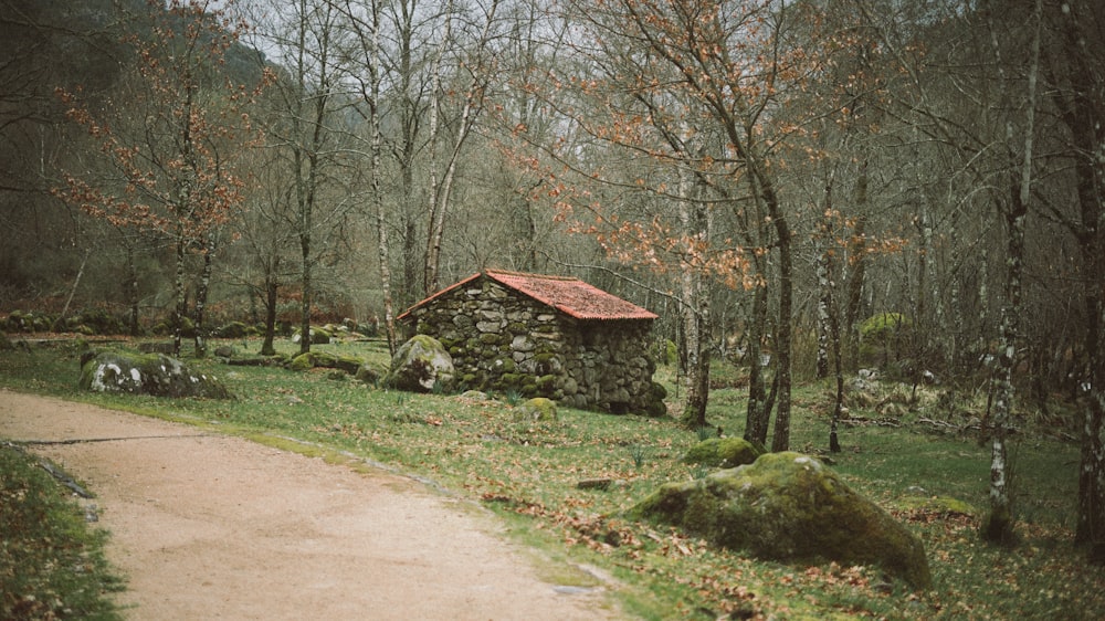 casa de madeira marrom perto de árvores durante o dia