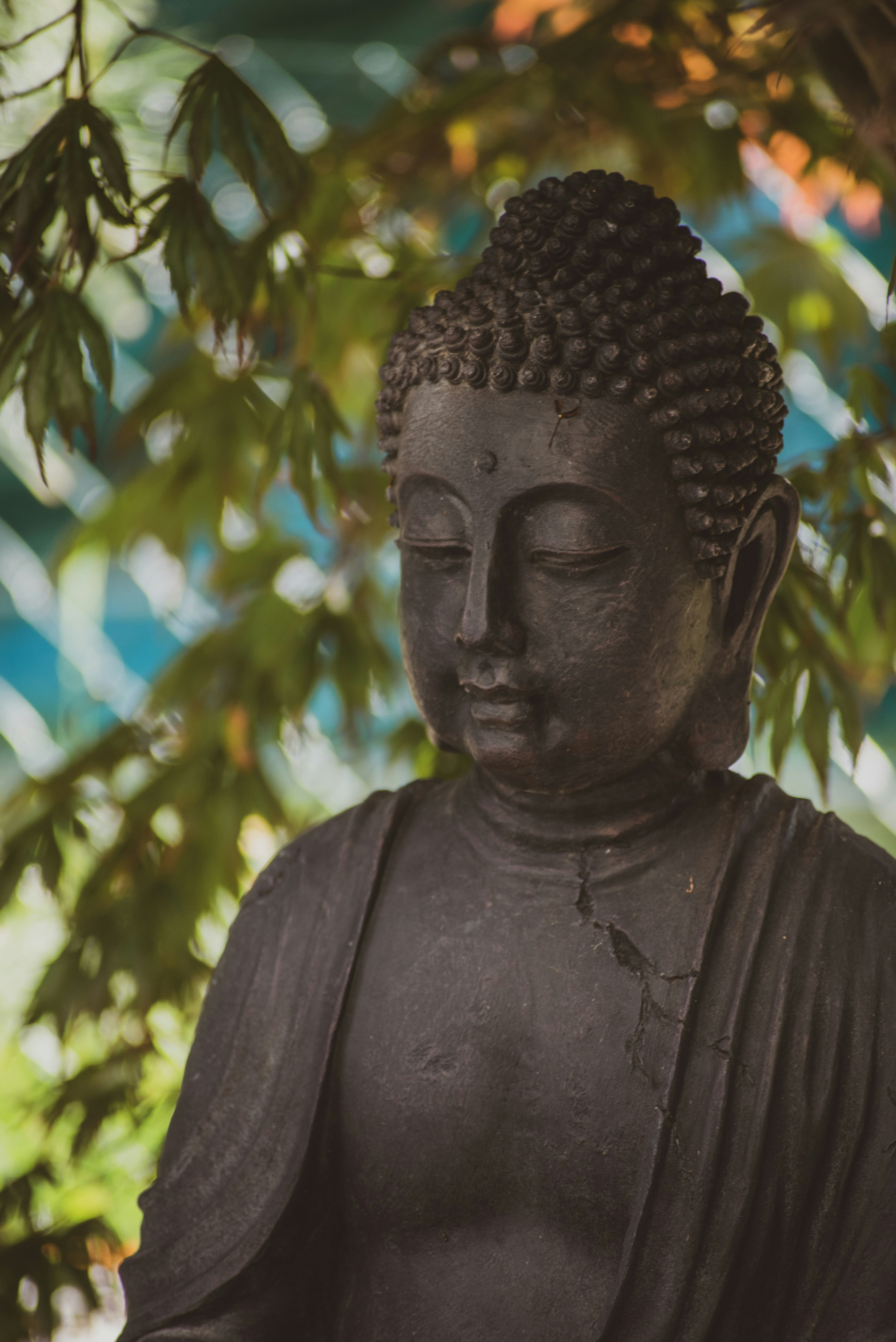 black buddha statue near green tree during daytime