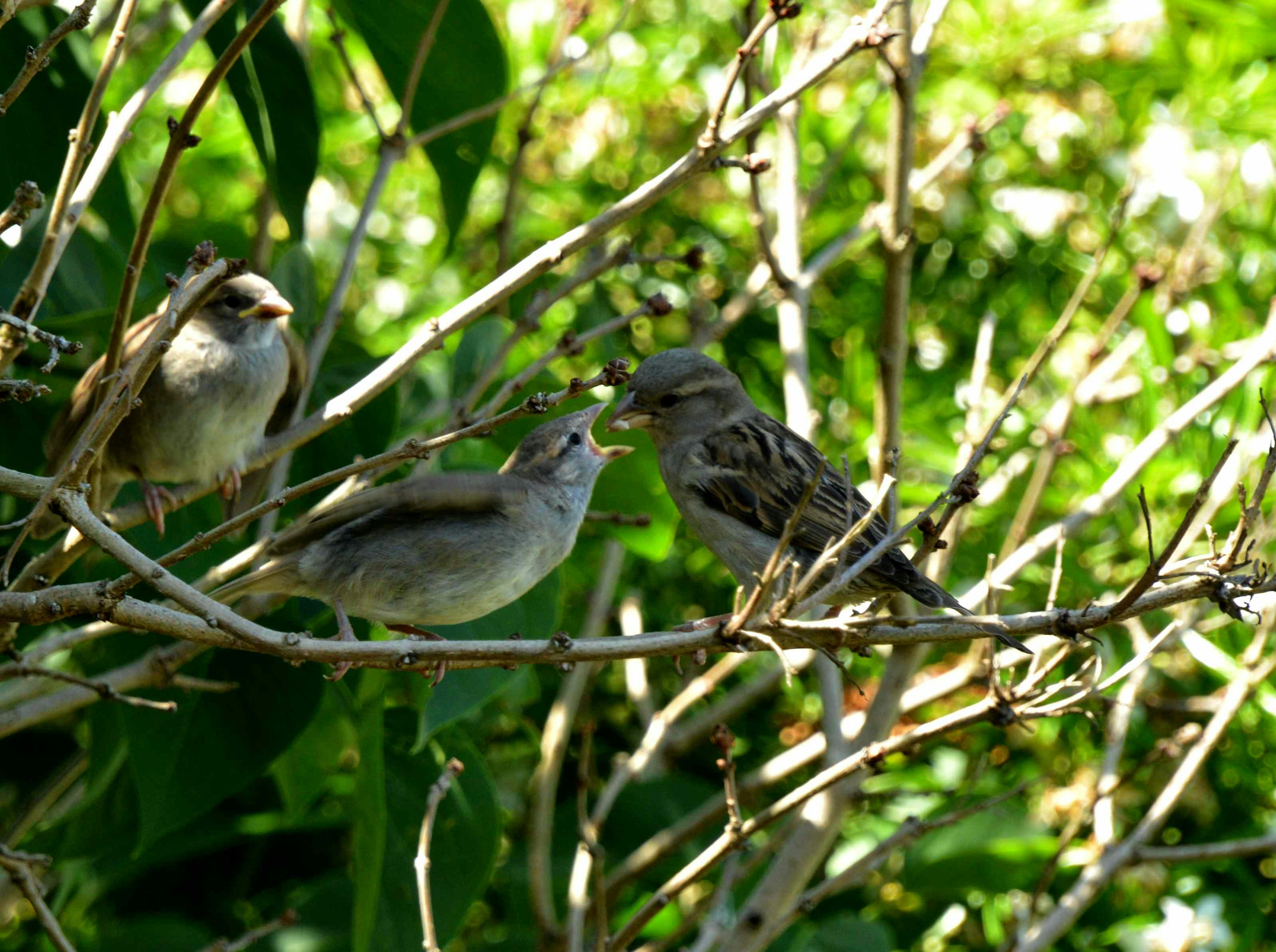 Photo by valleyman