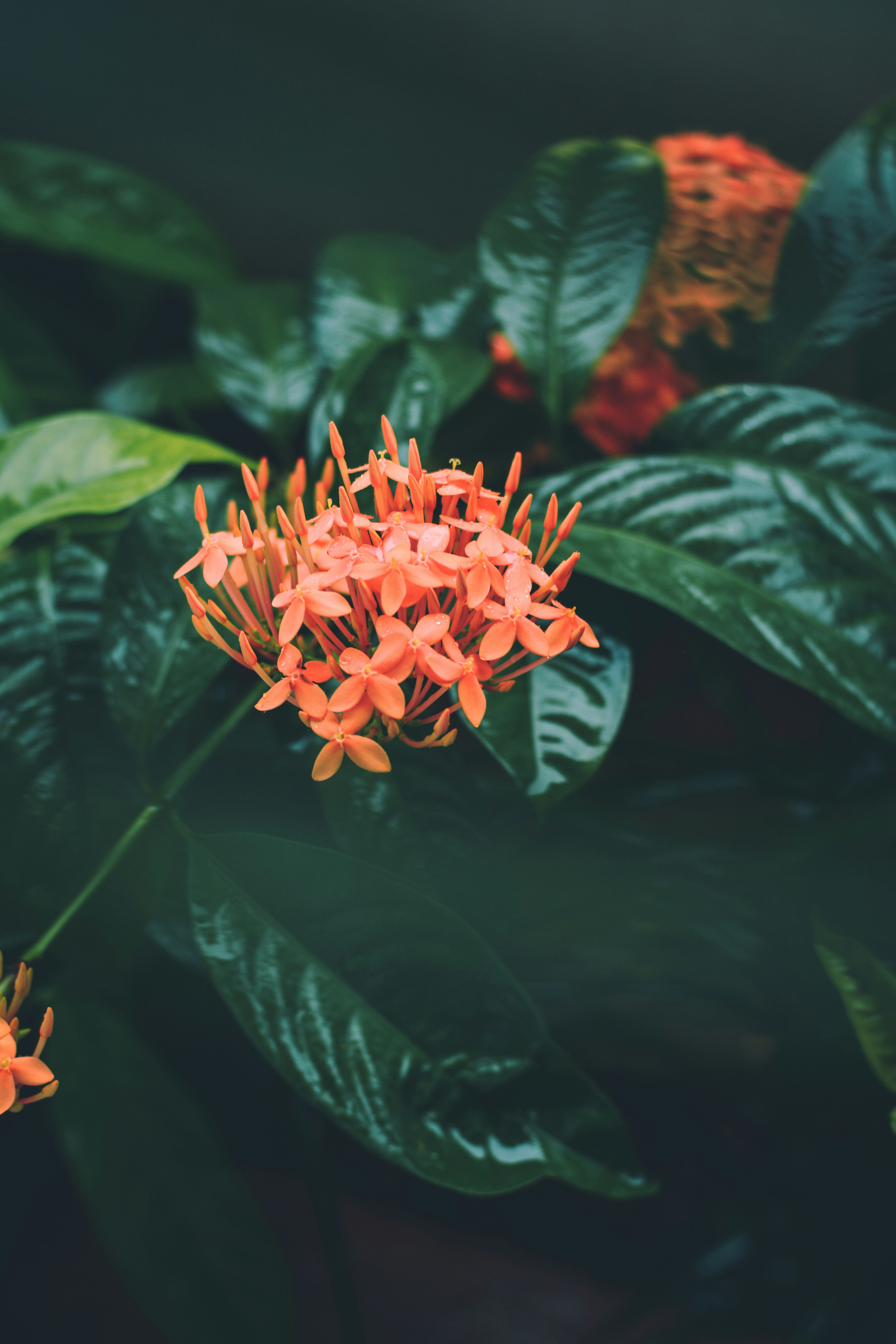 Photo by sanjanshetty