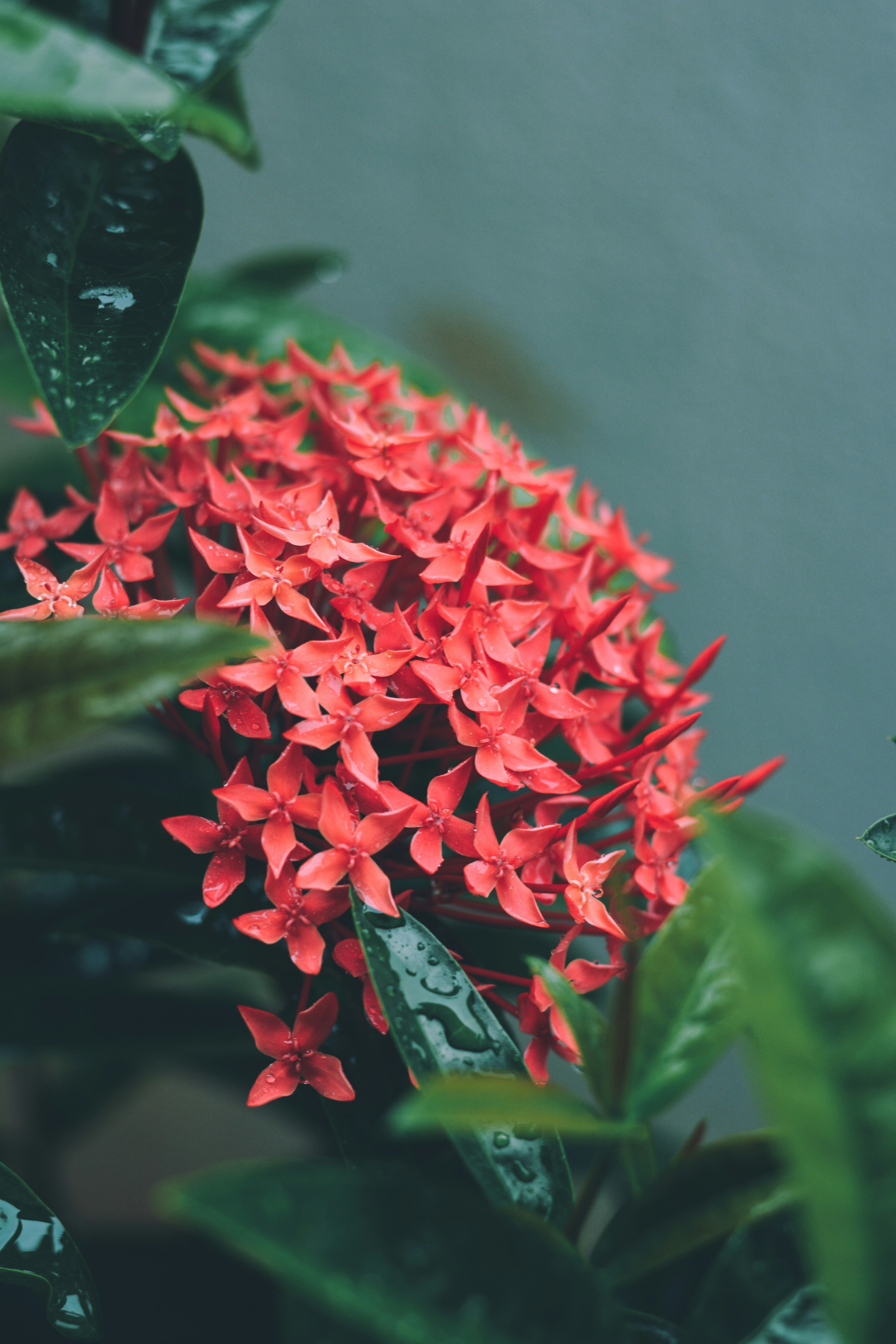 Photo by sanjanshetty